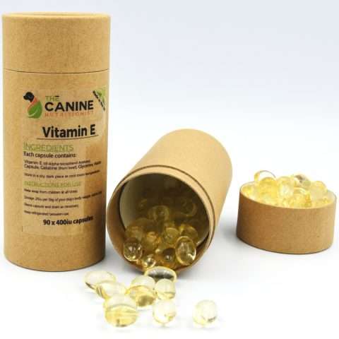 Picture of Dogs & Vitamin E | The Canine Nutritionist